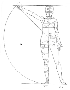 human body visualizer